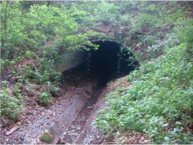 Auf dem Bild sieht man einen schmalen und kanalisierten Gewässerlauf des Gewässers 4200. Im Hintergrund fließt das Gewässer tunnelartig durch das Widerlager des Brückenbauwerkes auf der A 1. An der Böschung des Widerlagers sieht man eine grüne Kraut- und Gehölz-Vegetation.