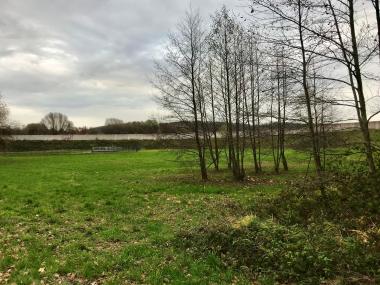 Blick auf eine grüne Wiese mit rechtsseitigem Baumbestand. Im Hintergrund verläuft die Lärmschutzwand der Bundesautobahn 33.